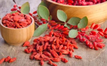 Les avantages de fruit Goji pour avoir une alimentation saine