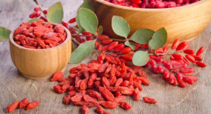 Les avantages de fruit Goji pour avoir une alimentation saine