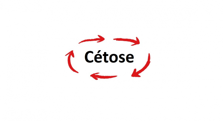 Comment atteindre la cétose rapidement