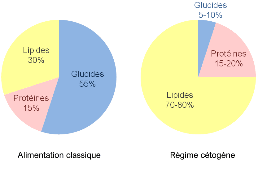 Ce qu'il faut savoir sur la cétose